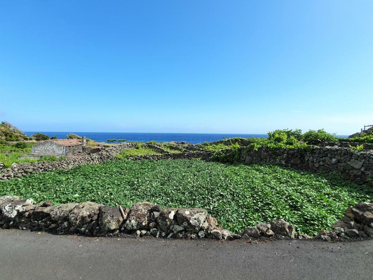 Casinha De Nesquim Villa Calheta de Nesquim Exteriör bild